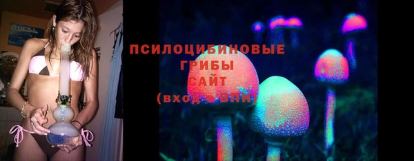 дурь Богородск