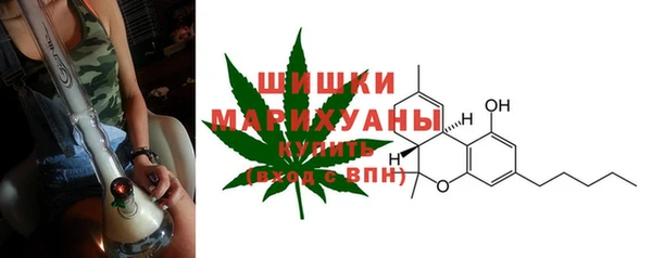 apvp Богородицк
