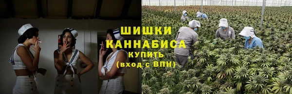 дурь Богородск