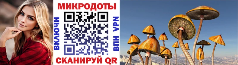 Псилоцибиновые грибы GOLDEN TEACHER  МЕГА   Макаров  купить закладку 