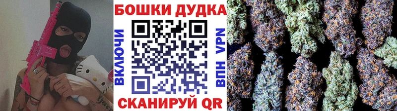 МЕГА ссылки  Макаров  Бошки марихуана планчик 